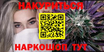 прущие грибы Новодвинск