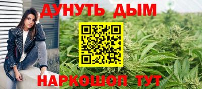 амф Новозыбков