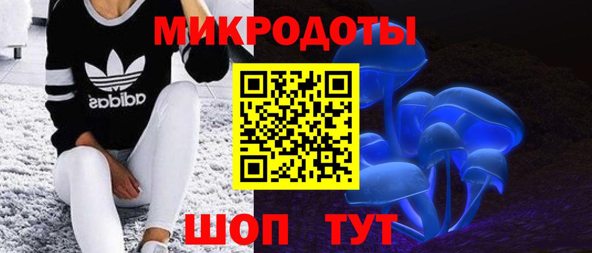 Псилоцибиновые грибы мицелий Сорочинск